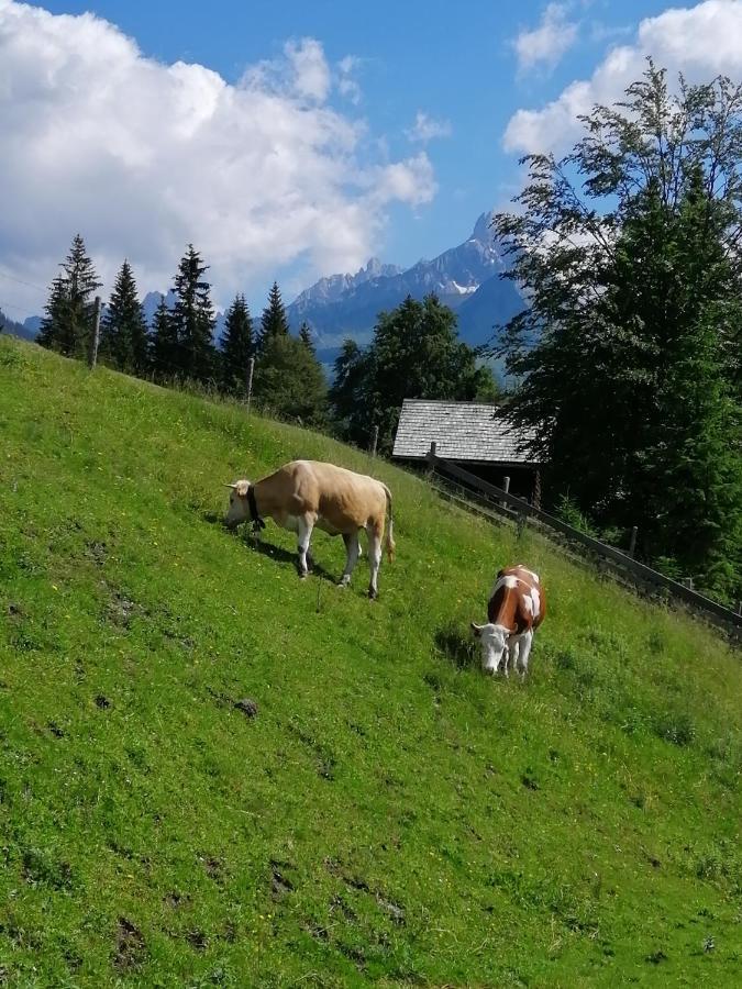 Appartement Berglerhof Filzmoos Bagian luar foto